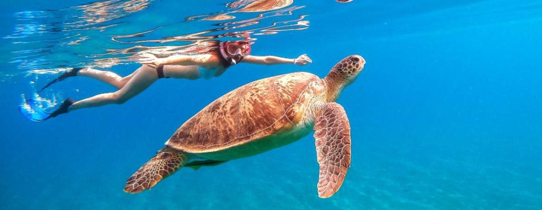 The Ultimate Aussie Adventure: Top 10 Must-Visit Destinations🦘